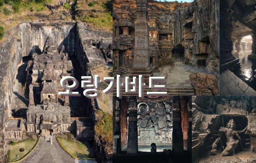 색채와 문화, 히말라야: 인도-네팔 투어13일